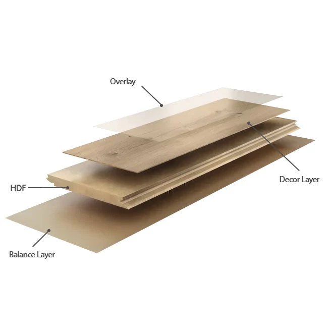 Nidra 12mm Laminate AGT Flooring - Image 4