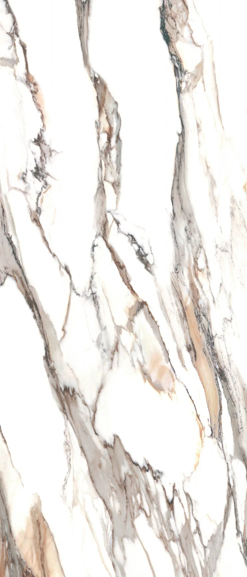 Calacatta Gold Tile 24x48 Polished Rectified Porcelain Floor and Wall for Interior or Exterior - Image 3