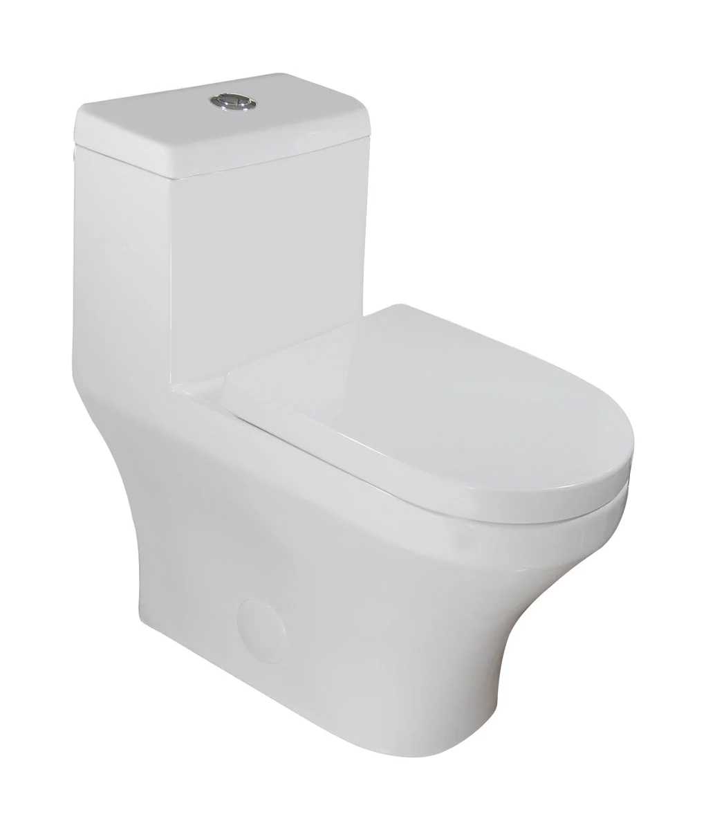 One-Piece 0.8/1.6 GPF Dual Flush Elongated Toilet with Soft-Close Seat LT8